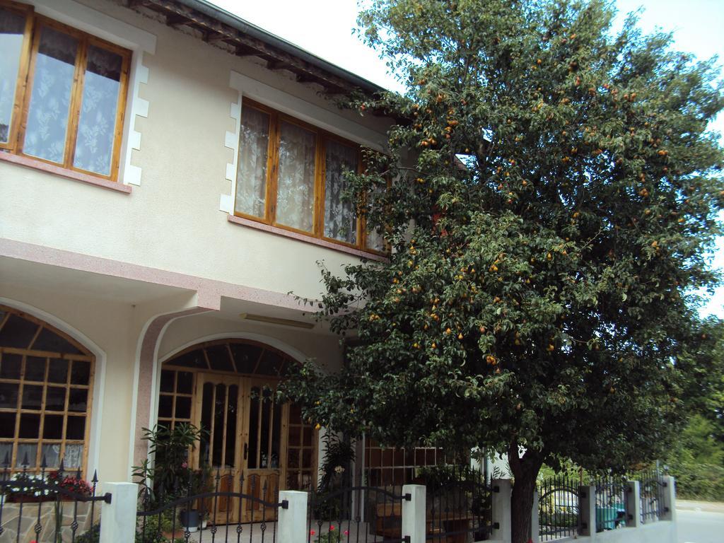 Amfora Guest House Byala  Ngoại thất bức ảnh